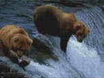 Bears Fishing (image for) Bears Fishing
